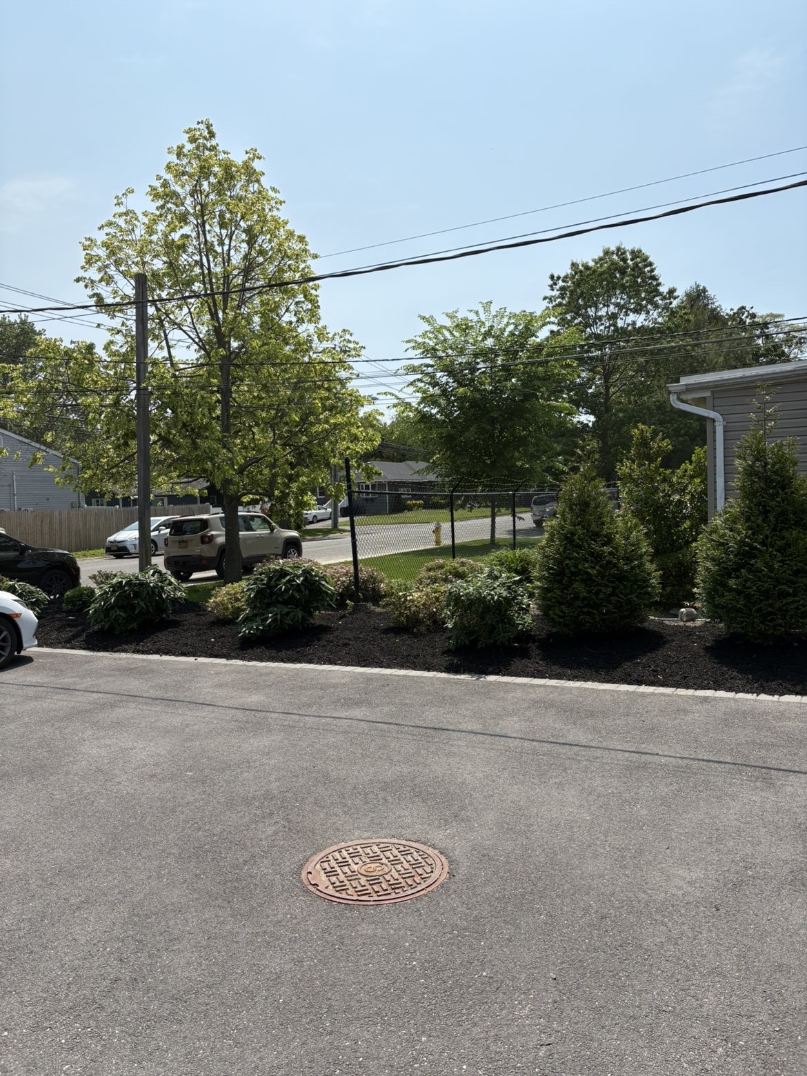 Shrub bed with fresh mulch